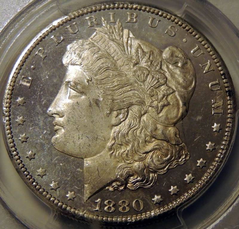 You-Vs-PCGS-1880-S-Morgan-Grade-Posted